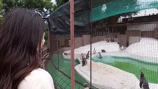 FC2PPV-3080698 【集団乱交】S県◎浜ビーチ海水浴旅行／地元看護女子大生3名③【特典3本】