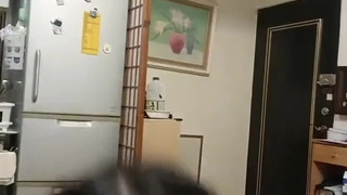 樊少皇老婆
