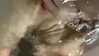 棒子小伙和漂亮大奶女友高级寓所各种姿势草最后口爆被颜射洗脸